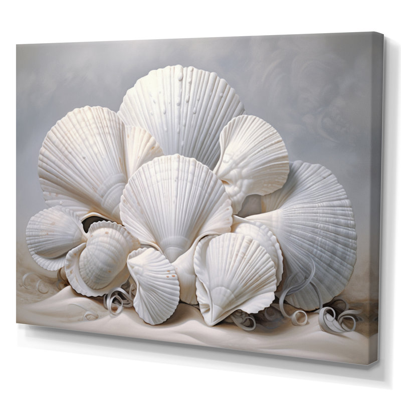 " Monochromatic White Seashells ", Wrapped Canvas, 16" H x 32" W x 1" D