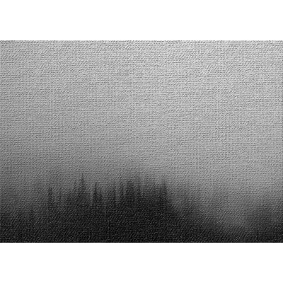 Tapis gris Mysterious Landscapes 69