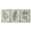 «Antique Black and White Botanical IV», ensemble de 3 peintures sur toile encadrées-508101473-508101478