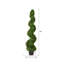 Arbre en spirale de buis vert Wolfdale-20583854