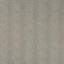 Terra Firma II Aiguille Fabric-885327469