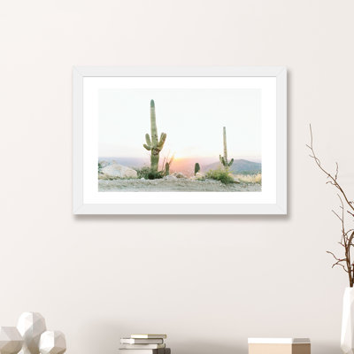 «Saguros in the Sun, Tuscon, Arizona», photographie