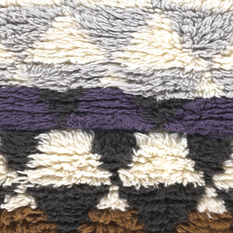 Levell Wool Southwestern Indoor Rug, Rectangle 2' x 3'