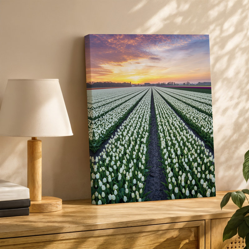Toile, "Un vaste champ de tulipes blanches en fleurs", H 30 po x l 30 po