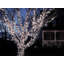 Shepparton Outdoor 225 - Bulb 105'' LED Wide Angle LED String Light-312413690