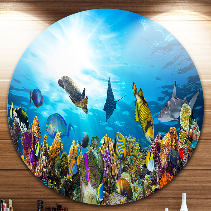 « corail en corail avec poissons », reproduction de photo sur métal, H 38 po x l 38 po x P 1 po
