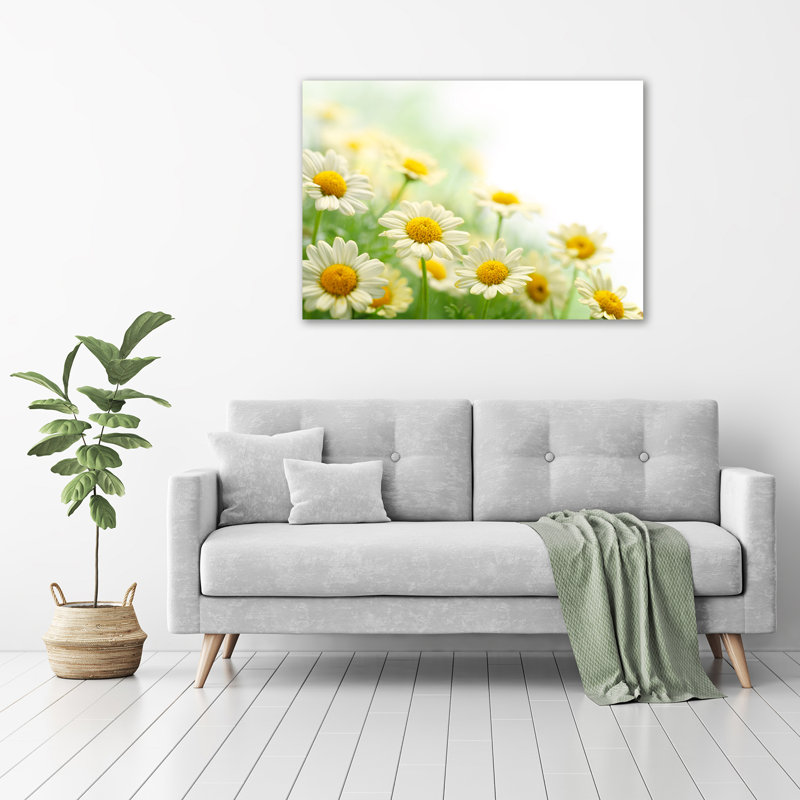 Daisies - No Frame Print on Glass