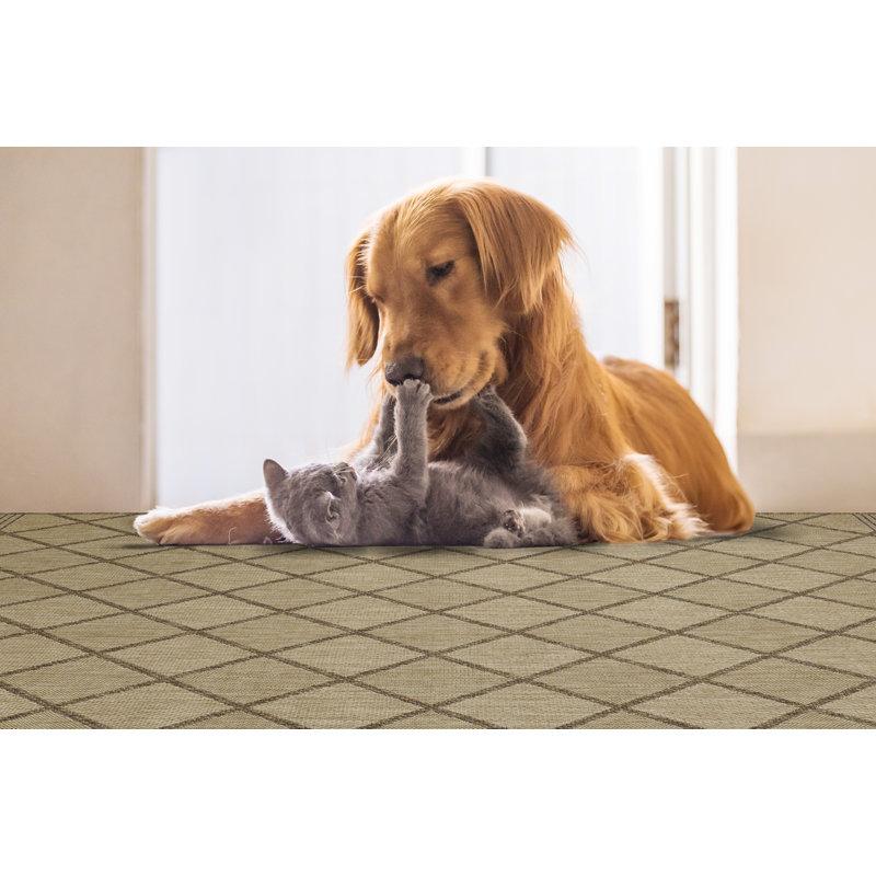 Jessicalee Geometric Indoor / Outdoor Rug, Rectangle 5'4" x 7'6"