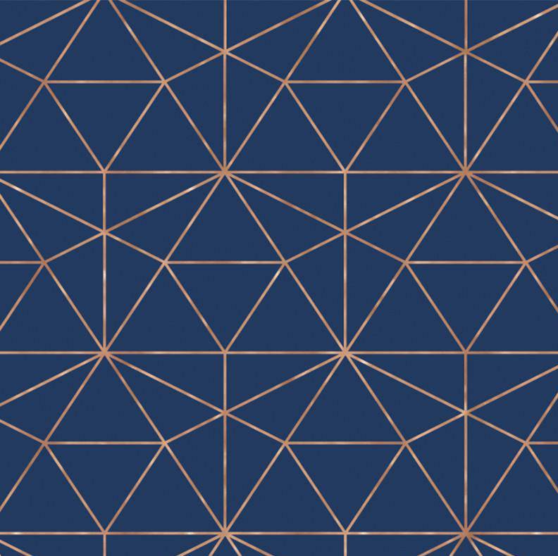 Rouleau de papier peint géométrique L 27 pi x l 25 po Graphic Quartz, Bleu marine / cuivre