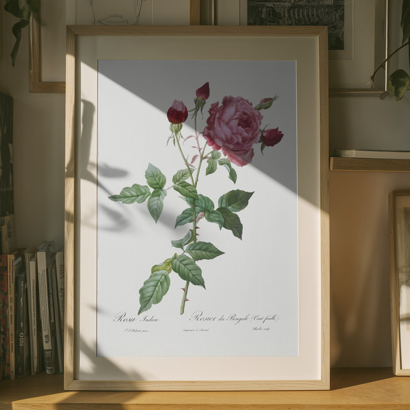Wrapped Canvas Print, 76.2cm H x 50.8 cm W