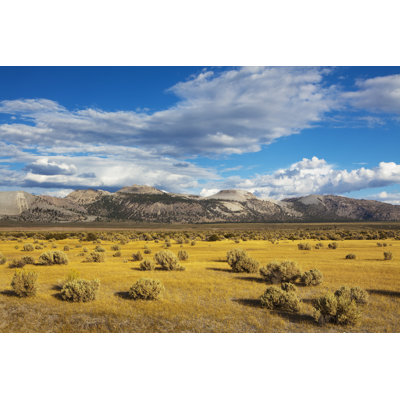 Landscape Near Mono Lake 1 Piece Wrapped Canvas Wall Art