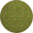 Fern