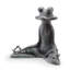 Contented Yoga Frog
