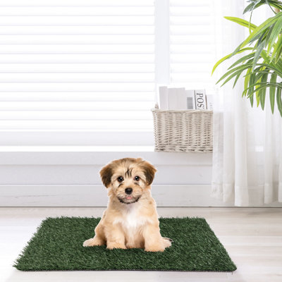 Two Pack, Realistic Artificial Grass, Large Pet Urine Mat, Optimal Indoor Care, Multi - Site Capability, Easy To Use, Long Lasting, Replaceable Grass