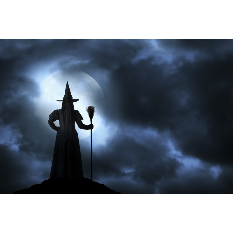 Witch by DNY59 - Wrapped Canvas Print, 81cm H x 122cm W x 3.8cm D
