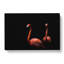 Pink Flamingos - Wrapped Canvas-55325445