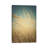 Windswept by Olivia Joy StClaire - Wrapped Canvas Gallery-Wrapped Canvas Giclée-237584613