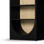 Higgs Bookcase-874438407