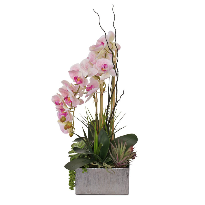 Real Touch Pink Phalaenopsis Orchids And Succulents Flower Arrangement In Square Sliver Etched Ceramic Pot