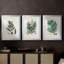 Fougères de collection VI - impression encadrée sur mesure de qualité supérieure - 3 pièces-706089849-706089845