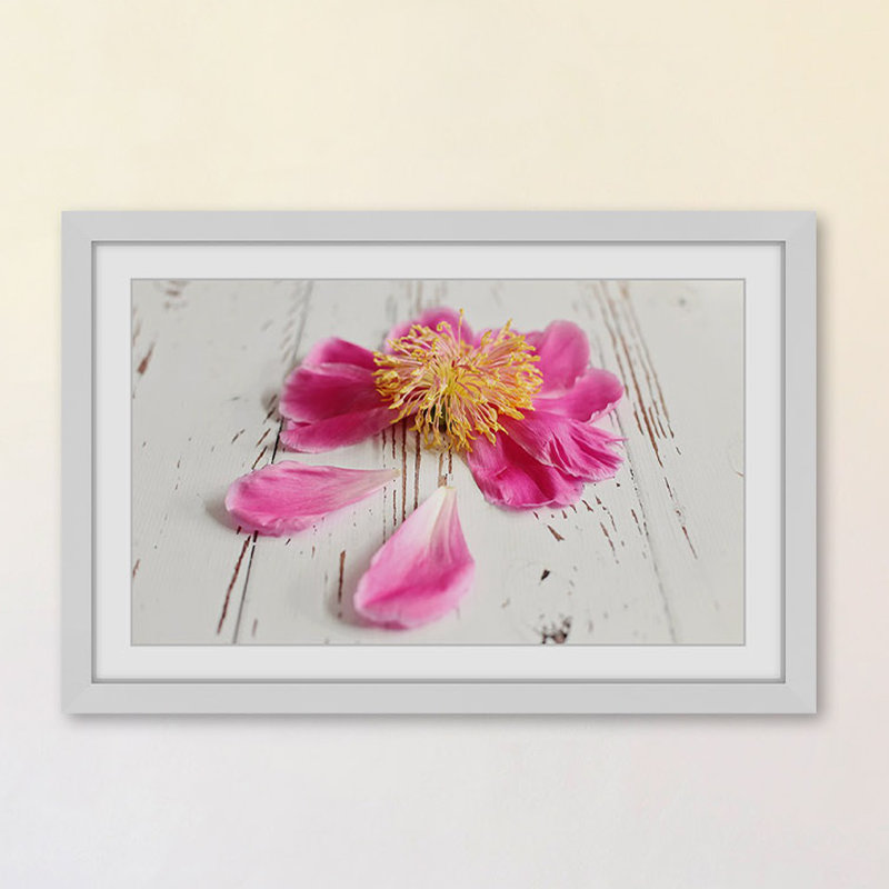 Sylvia Cook - Single Picture Frame Print, 61 cm H x 91 cm W x 3.81 cm D