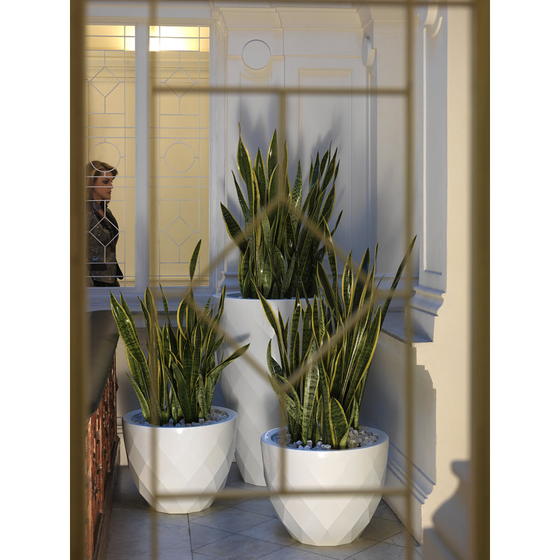 Vases Resin Pot Planter, 17.75" H x 21.75" W x 21.75" D