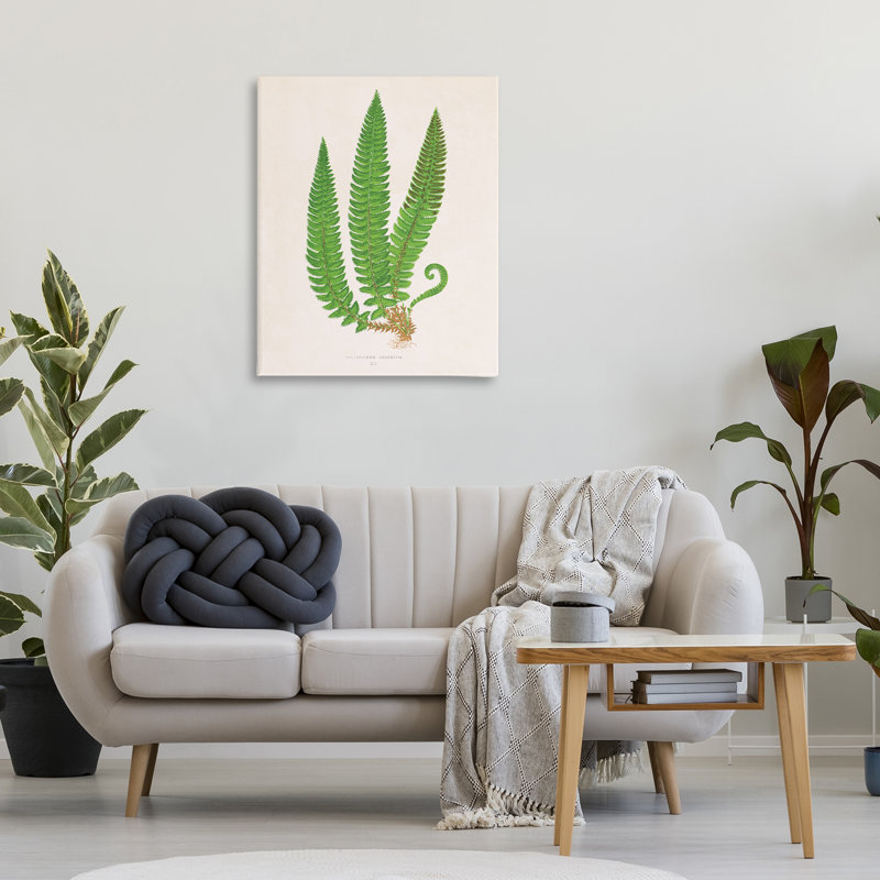 Toile de trio de branches de fougère naturelle, design par Phillipa Katz, H 40 po x l 30 po