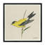 Goldfinch Print-1266894894