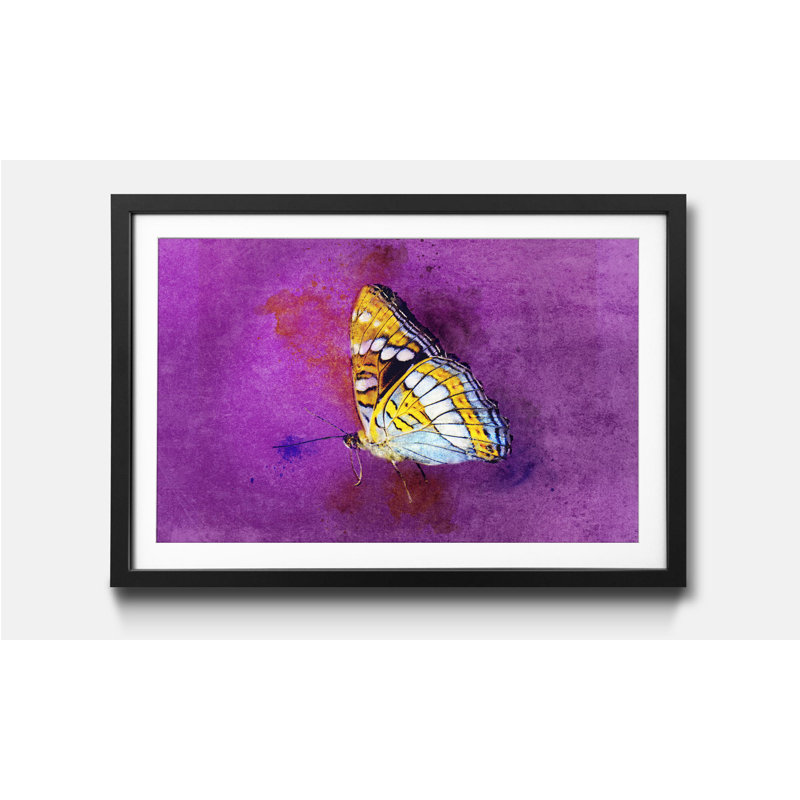 Streetart Fragile Beauty - Single Picture Frame Print, 44cm H x 64cm W x 2.2cm D