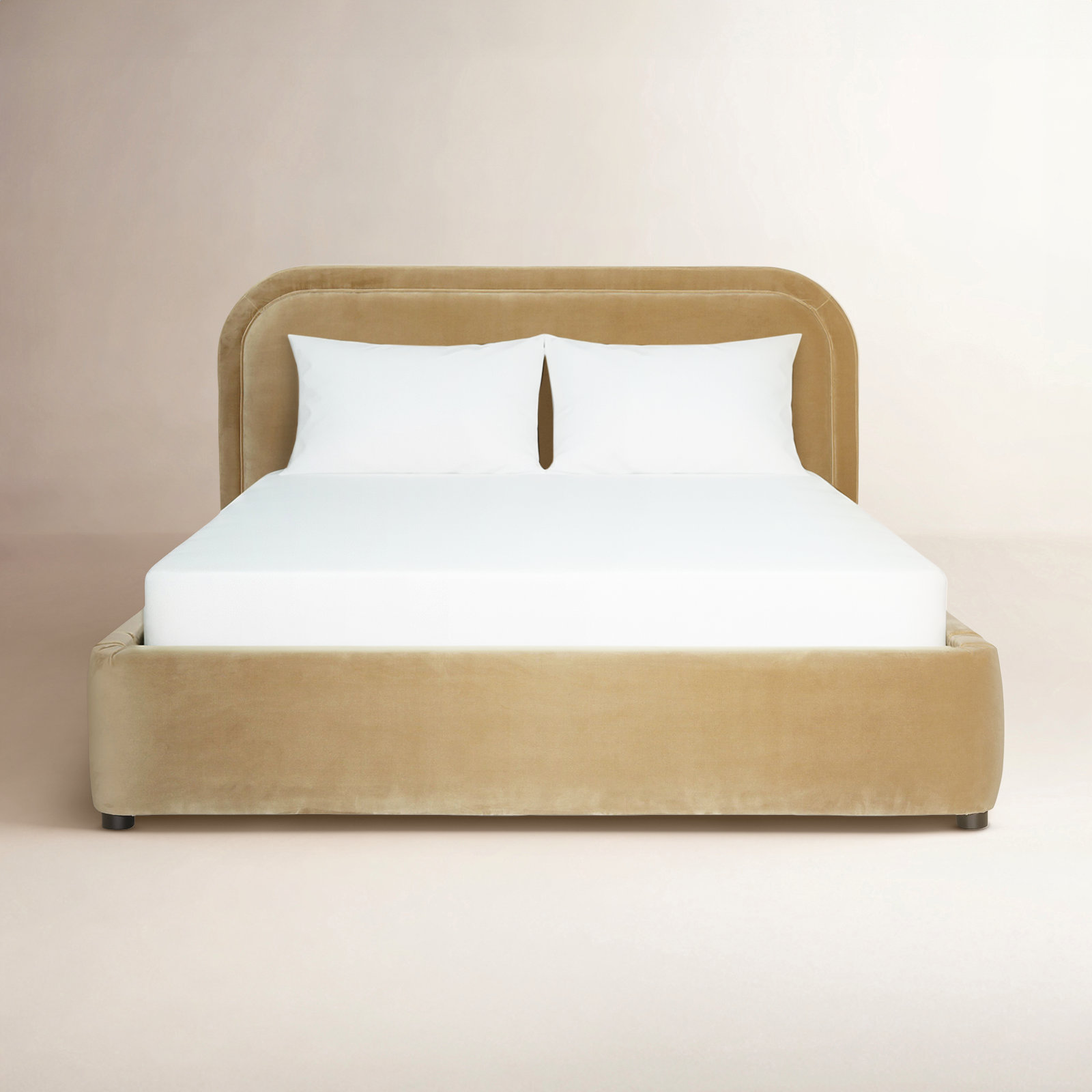 Paola Velvet Upholstered Bed, Queen, Camel