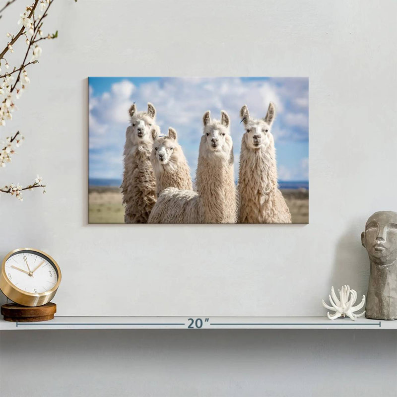 Fluffy White Llamas, 8" H x 12" W