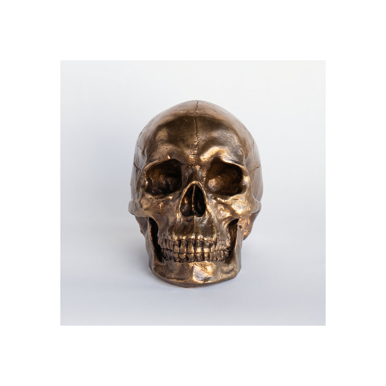 Muscogee Replica Faux Taxidermy Human Skull Figurine, Bronze