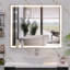 Miroir de meuble-lavabo mural 30 po x 36 po à DEL avec interrupteur tactile antibrouillard blanc / chaud / naturel réglable-1915450039