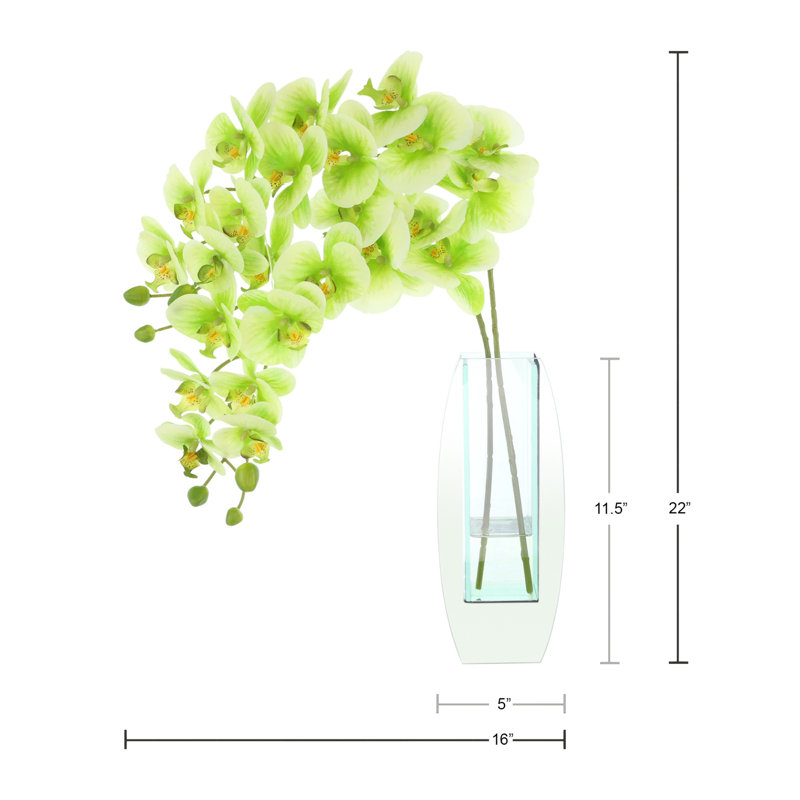Orchidées Tania disposées dans un vase en verre, Vert, Argent argent