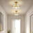 Herbiorn Glass Semi Flush Mount