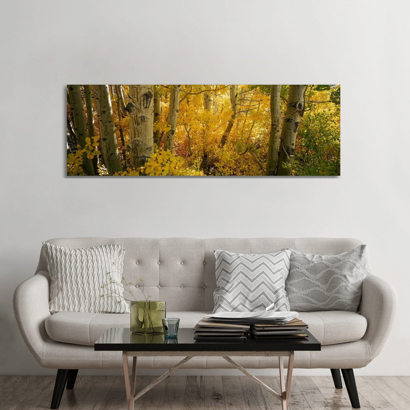 Aspen Trees In A Forest, Californian Sierra Nevada, California, USA - Wrapped Canvas Panoramic Print