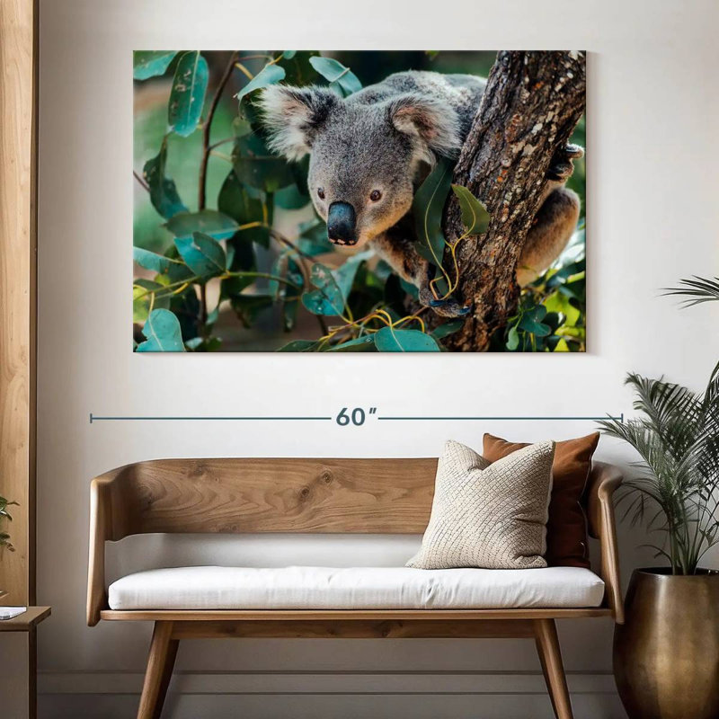 Australia Koala, 34" H x 51" W