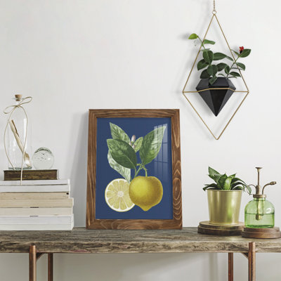 Xeden " French Lemon On Navy II "