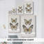 Papillons rétro I - galerie Cavas-302351401