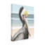 "Pelican Beach I" sur toile-98390327