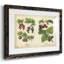 Cuisine fruits III-285017815-285017811
