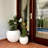 Dorlis Fiberstone Pot Planter-331591452-339756818