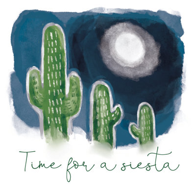 Siesta Cactus - Wrapped Canvas Painting
