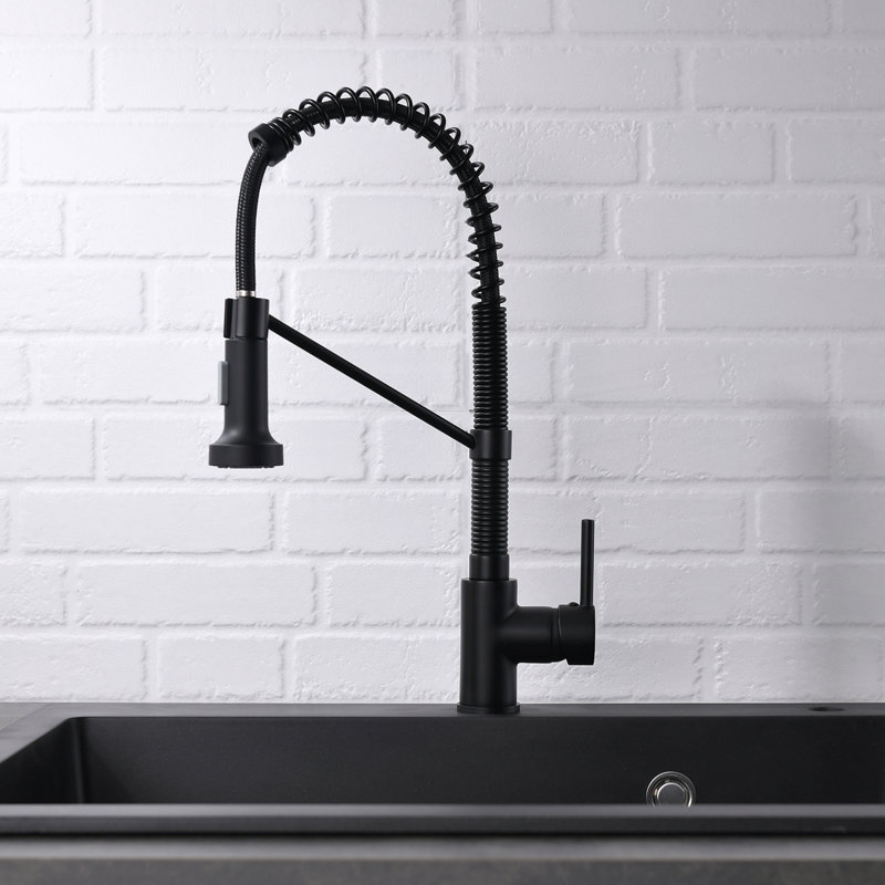 Pull Down Single Handle Kitchen Faucet with Accessories, Black