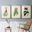 Pretty Pink Botanicals VII - 3 Piece Single Picture Frame Painting Set-69981717-69981718