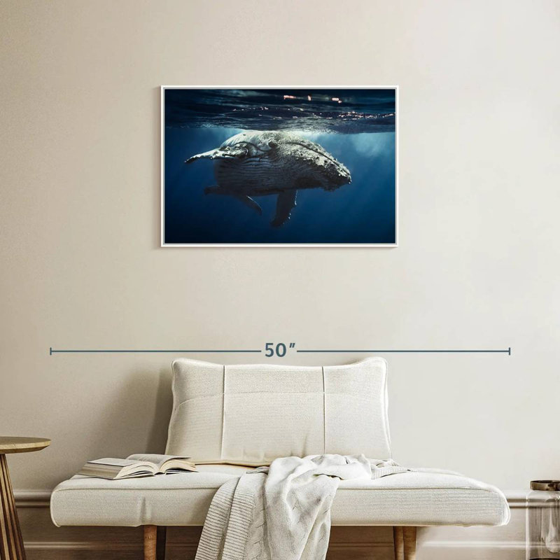Baleine écumante, Cadre flottant blanc, 31 po x 21 po
