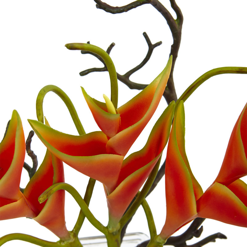 Heliconia Arrangement in Vase