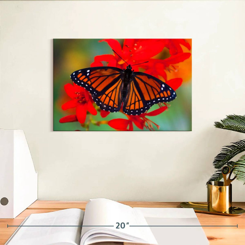 «Viceroy Butterfly» imitant le papillon monarque