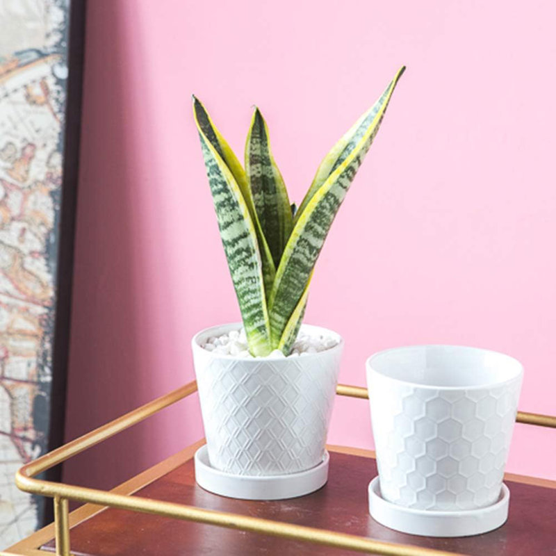 Ensemble de 4 pots de fleurs en céramique avec plateau de 5 pouces, Blanc