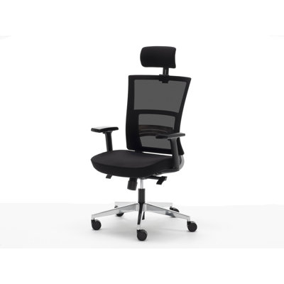 Symple Stuff Office Chair with Headrest